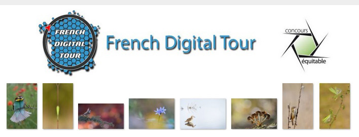 French Digital Tour