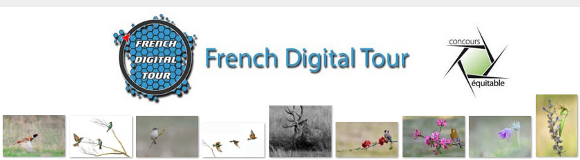 French Digital Tour