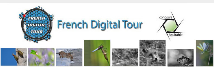 French Digital Tour