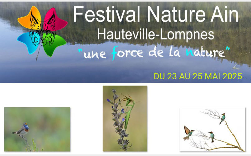 Festival Nature Ain