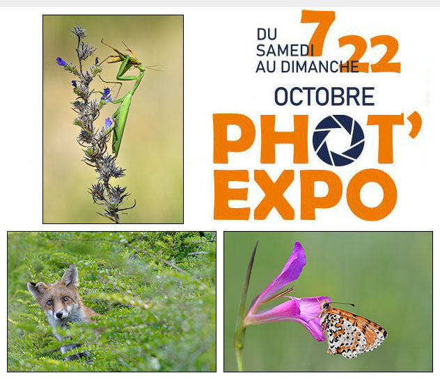 Phot'expo